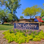 The Colony ELC Export002