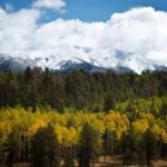 flagstaff
