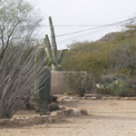 Mountain Shadows Apartments, 3053 W Anklam Rd, Tucson, AZ