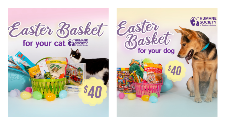 easter basket for your dog