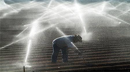 Farm Conservation