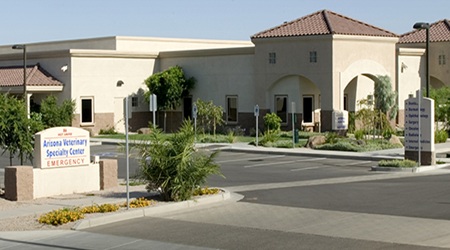 Veterinary Specialty