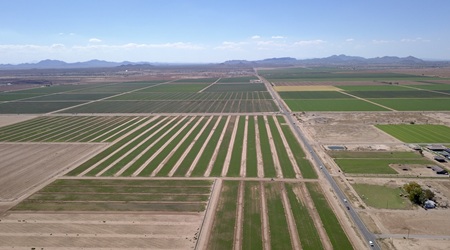 Florence, Arizona