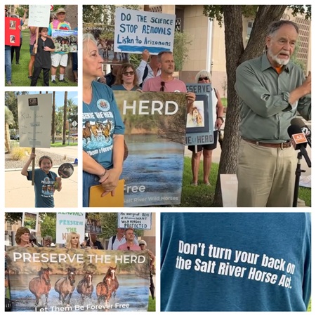 Wild Horse Advocates