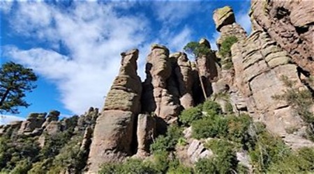 Chiricahua